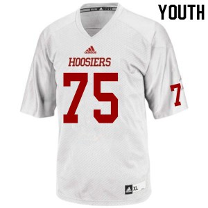 Youth Indiana Hoosiers Luke Wiginton #75 University White Jerseys 493681-833